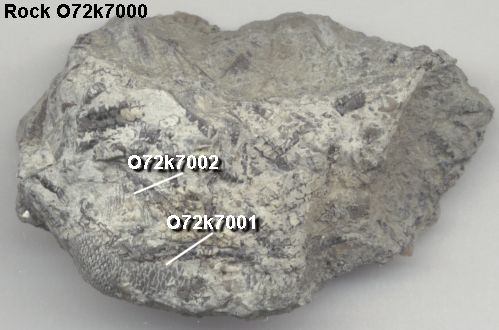 kkkk0105d.jpg